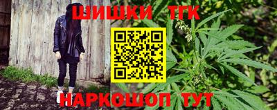 тгк Гусев