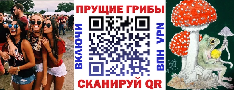 Галлюциногенные грибы Magic Shrooms  kraken как зайти  Кимовск 