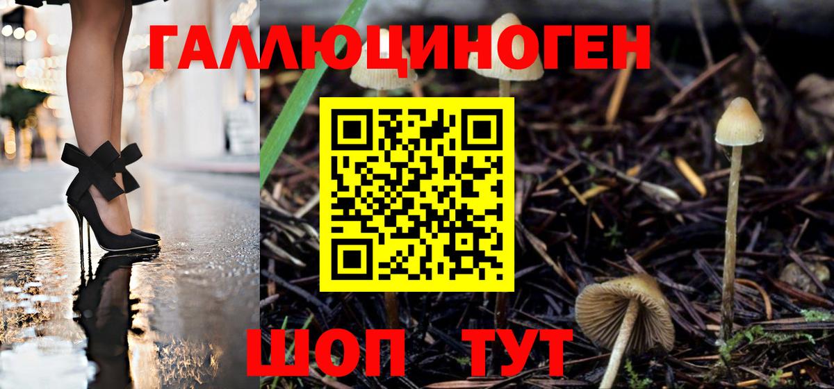 Галлюциногенные грибы мицелий Кимовск