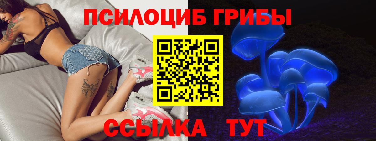 АМФ   Как найти наркотики?  МЕФ   КОКАИН  Гашиш  Кимовск  Канабис  КЕТАМИН 