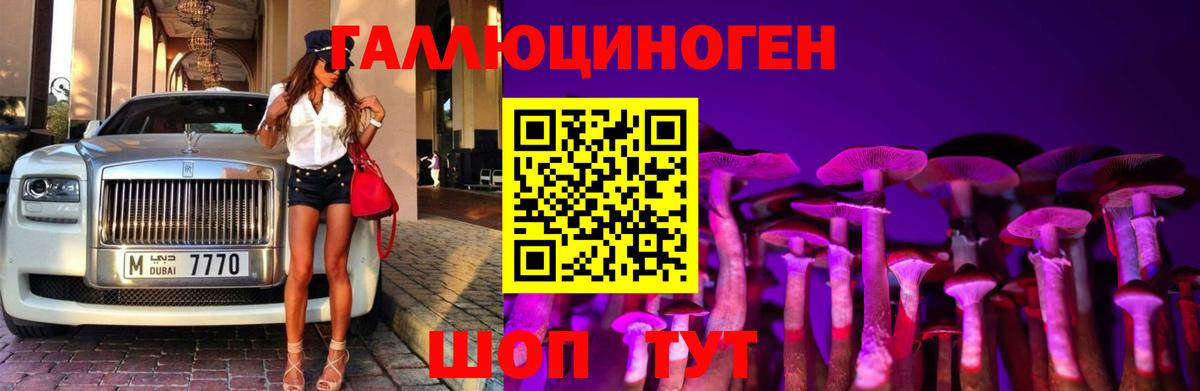 Псилоцибиновые грибы GOLDEN TEACHER Кимовск