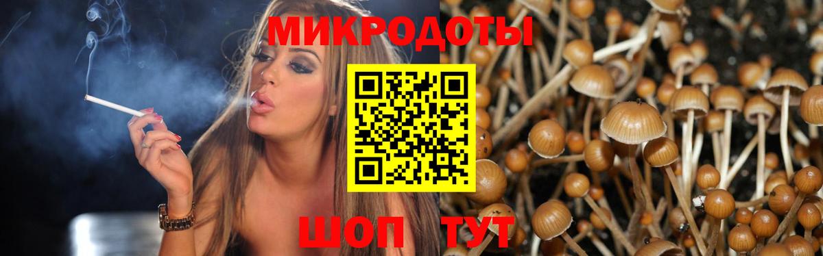 Галлюциногенные грибы MAGIC MUSHROOMS  Псилоцибиновые грибы Cubensis  Кимовск  Вход с VPN 