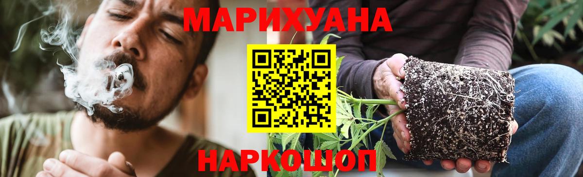 Канабис SATIVA & INDICA Кимовск